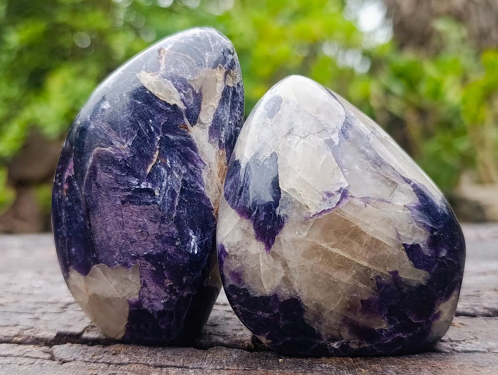 Polished Lepidolite Standing Display Pieces x 6 From Zimbabwe