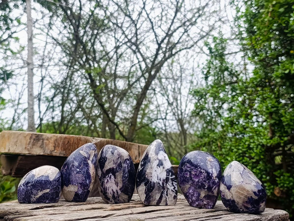 Polished Lepidolite Standing Display Pieces x 6 From Zimbabwe