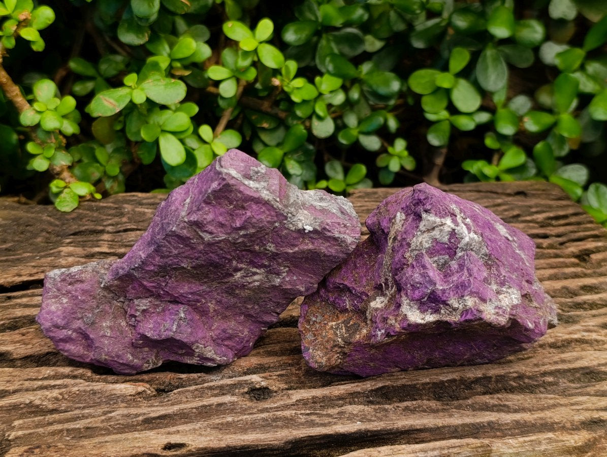 Natural Metallic Cobbed Purpurite Specimens x 6 From Erongo, Namibia
