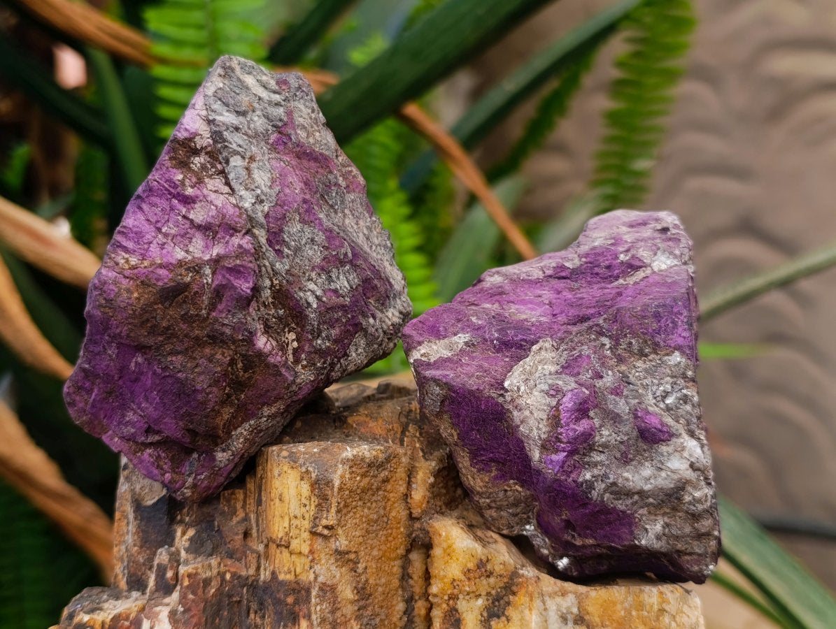 Natural Metallic Cobbed Purpurite Specimens x 6 From Erongo, Namibia