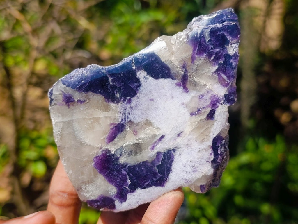 Polished One Side Lithium Silver Leaf Lepidolite Slices x 6 From Zimbabwe