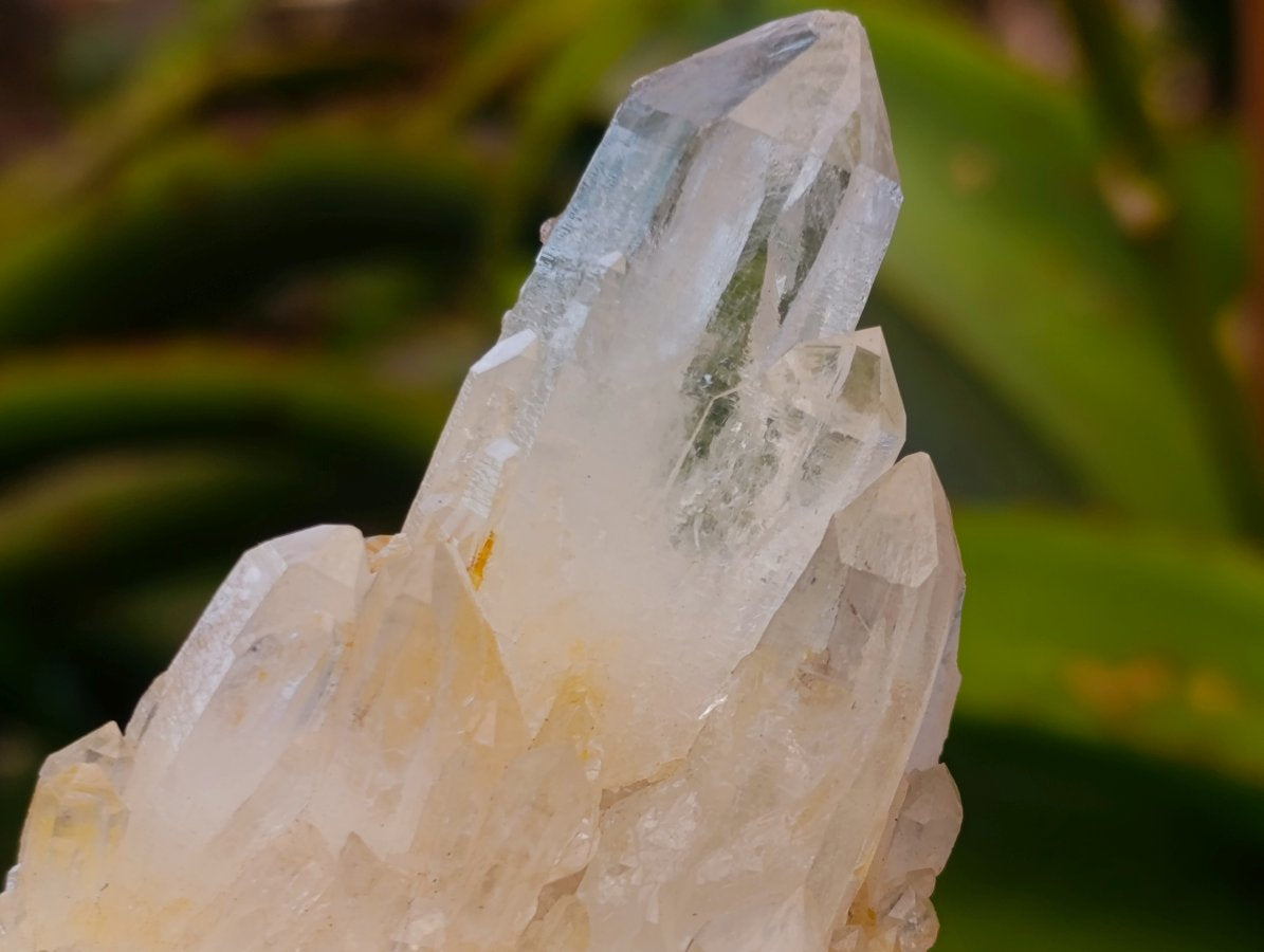 Natural Malagasy Quartz Clusters x 12 From Madagascar