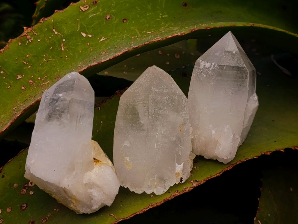 Natural Malagasy Quartz Clusters x 12 From Madagascar