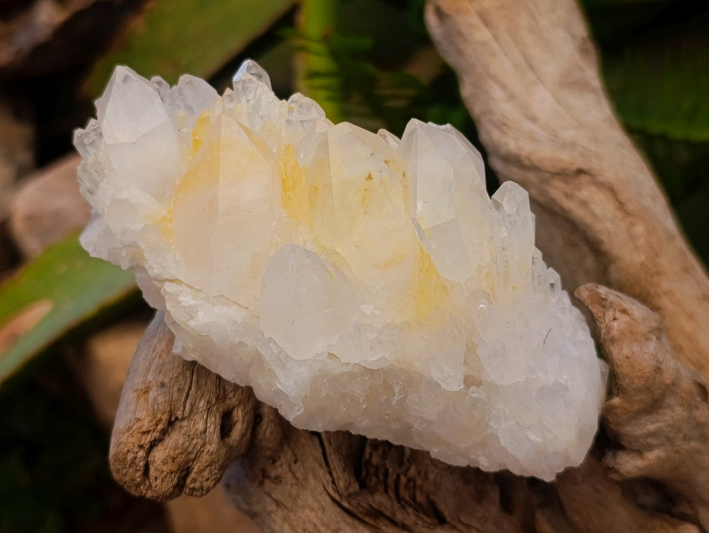 Natural Malagasy Quartz Clusters x 12 From Madagascar