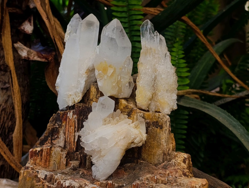 Natural Malagasy Quartz Clusters x 12 From Madagascar