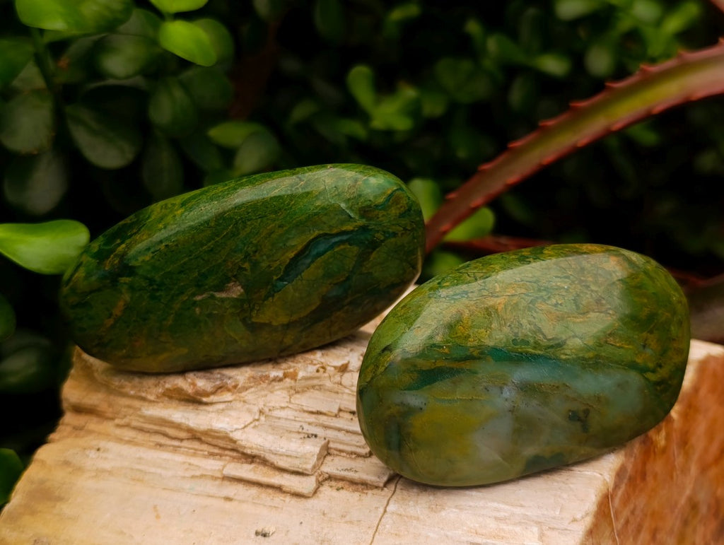 Polished Chrome Verdite Gemstone Free Forms x 14 From Zimbabwe