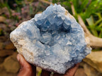 Natural Blue Celestite Specimens x 2 From Sakoany, Madagascar