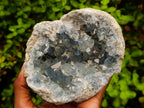 Natural Blue Celestite Specimens x 2 From Sakoany, Madagascar