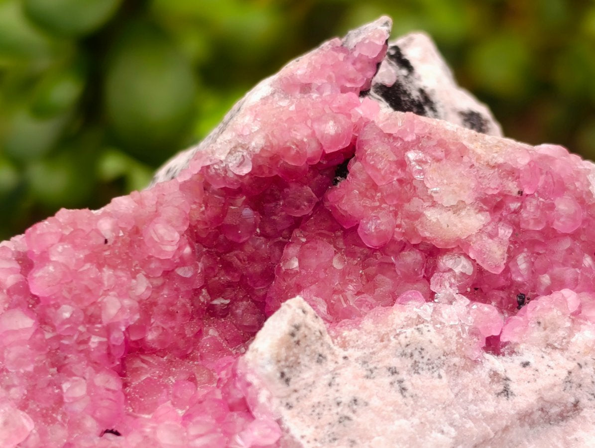 Natural Cabinet Size Spherocobaltite Specimens x 2 From Mashamba West Mine, Congo