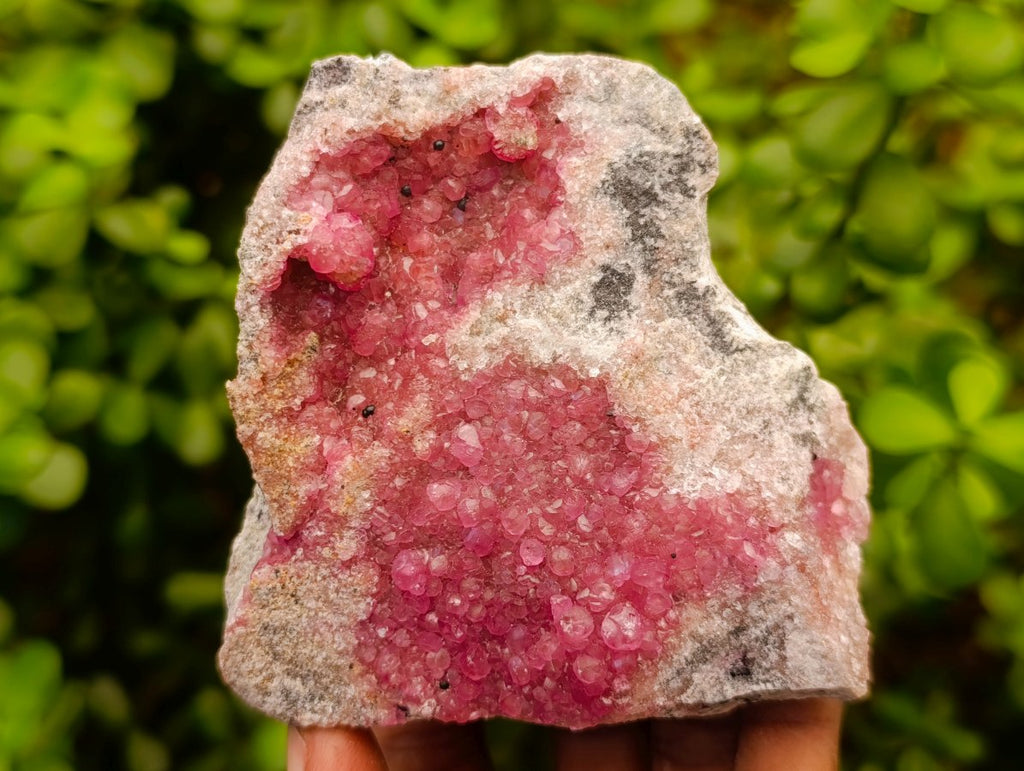 Natural Cabinet Size Spherocobaltite Specimens x 2 From Mashamba West Mine, Congo