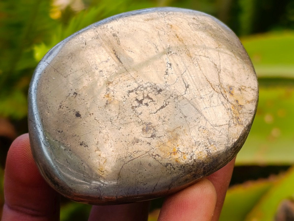 Polished Basalt Pharaoh Stone Free Forms x 6 From Iron Duke Mine, Zimbabwe