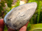 Polished Basalt Pharaoh Stone Free Forms x 6 From Iron Duke Mine, Zimbabwe