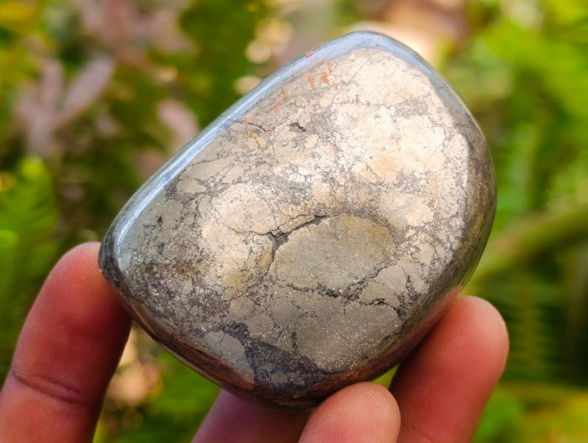 Polished Basalt Pharaoh Stone Free Forms x 6 From Iron Duke Mine, Zimbabwe