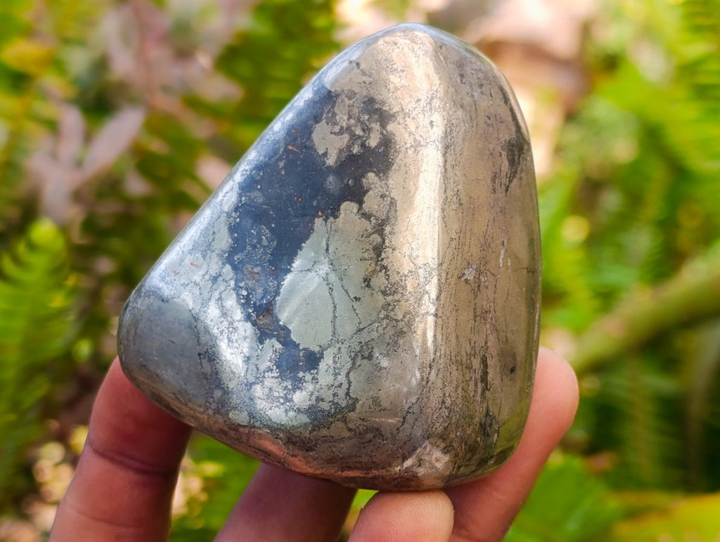 Polished Basalt Pharaoh Stone Free Forms x 6 From Iron Duke Mine, Zimbabwe