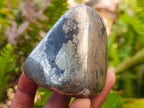 Polished Basalt Pharaoh Stone Free Forms x 6 From Iron Duke Mine, Zimbabwe