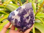 Polished One Side Lithium Silver Leaf Lepidolite Slices x 4 From Zimbabwe