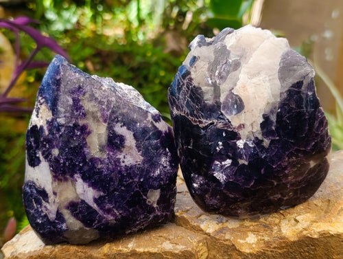 Polished One Side Lithium Silver Leaf Lepidolite Slices x 4 From Zimbabwe