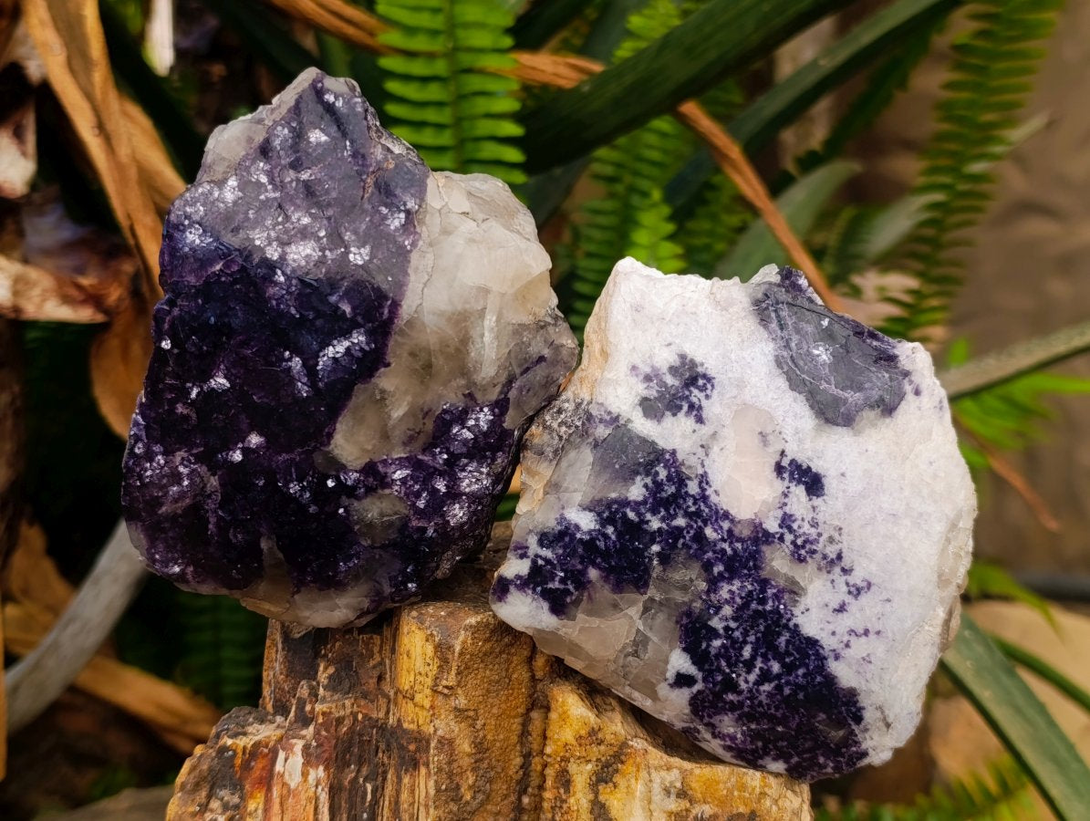 Polished One Side Lithium Silver Leaf Lepidolite Slices x 4 From Zimbabwe