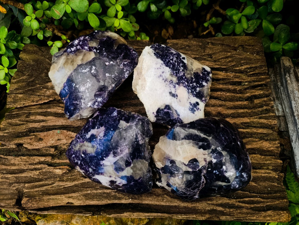 Polished One Side Lithium Silver Leaf Lepidolite Slices x 4 From Zimbabwe