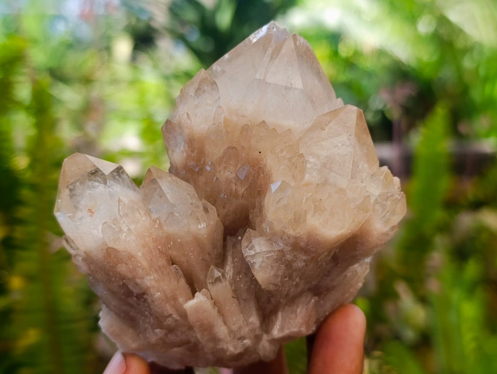 Natural Cascading White Phantom Smokey Luena Quartz Clusters x 6 From Luena, Congo
