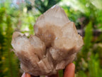 Natural Cascading White Phantom Smokey Luena Quartz Clusters x 6 From Luena, Congo