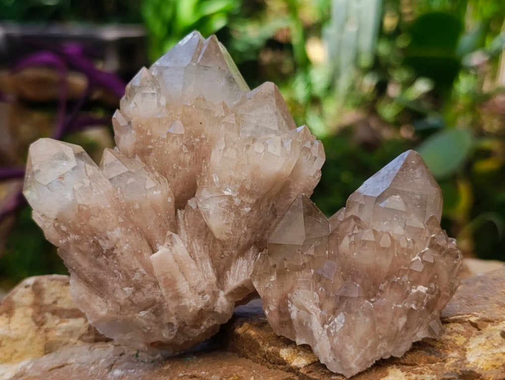 Natural Cascading White Phantom Smokey Luena Quartz Clusters x 6 From Luena, Congo