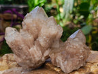 Natural Cascading White Phantom Smokey Luena Quartz Clusters x 6 From Luena, Congo