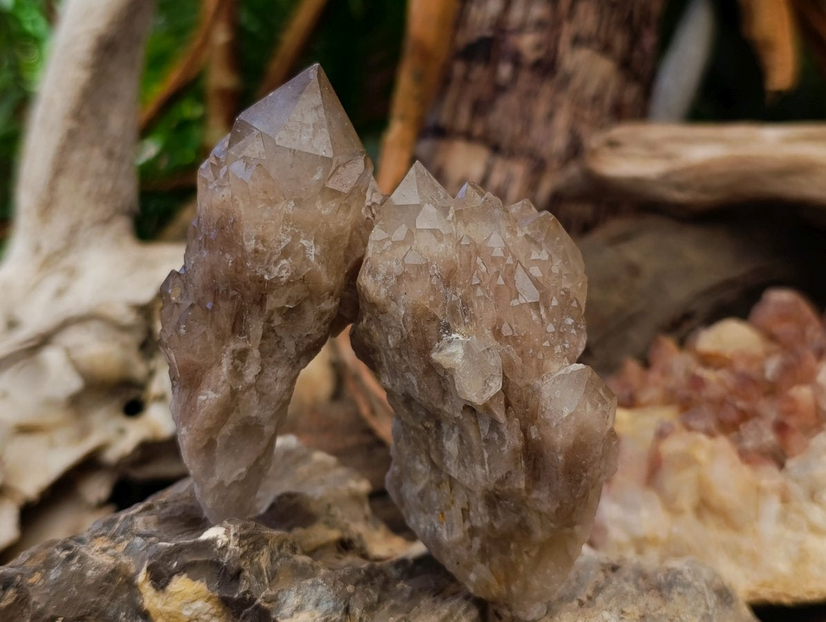 Natural Cascading White Phantom Smokey Luena Quartz Clusters x 6 From Luena, Congo