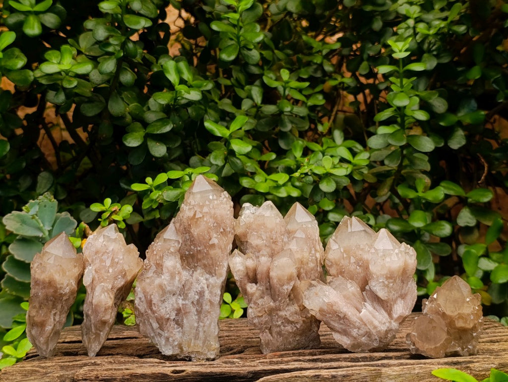 Natural Cascading White Phantom Smokey Luena Quartz Clusters x 6 From Luena, Congo