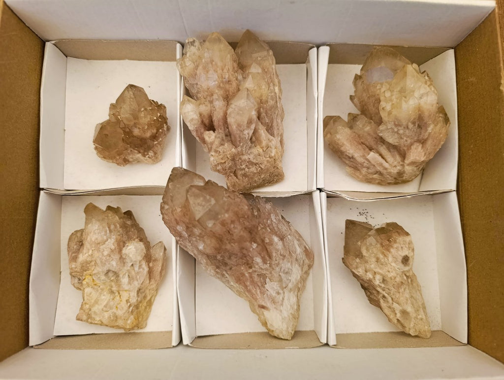 Natural Cascading White Phantom Smokey Luena Quartz Clusters x 6 From Luena, Congo