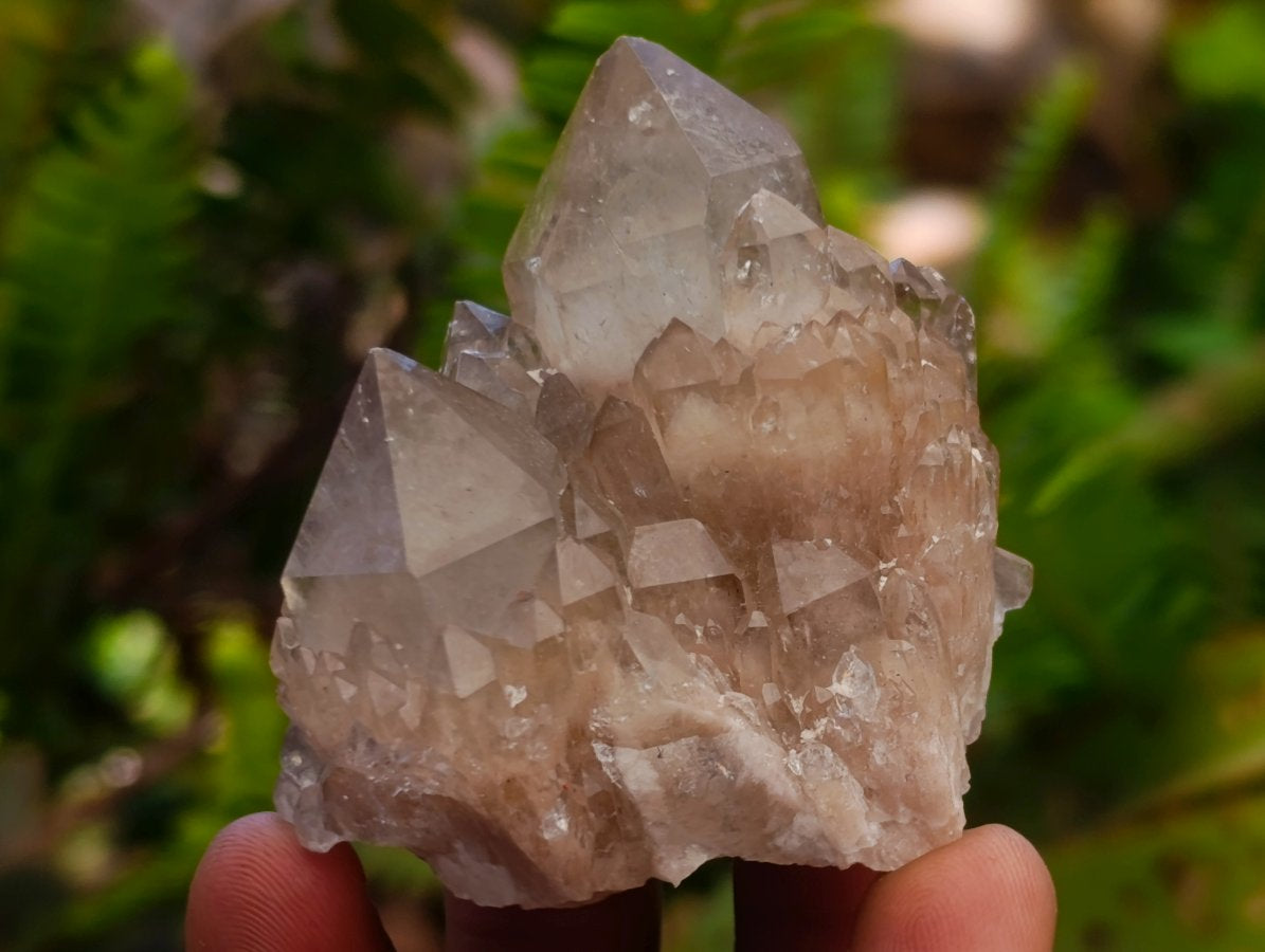 Natural Cascading White Phantom Smokey Luena Quartz Clusters x 6 From Luena, Congo