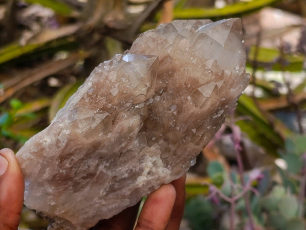Natural Cascading White Phantom Smokey Luena Quartz Clusters x 6 From Luena, Congo