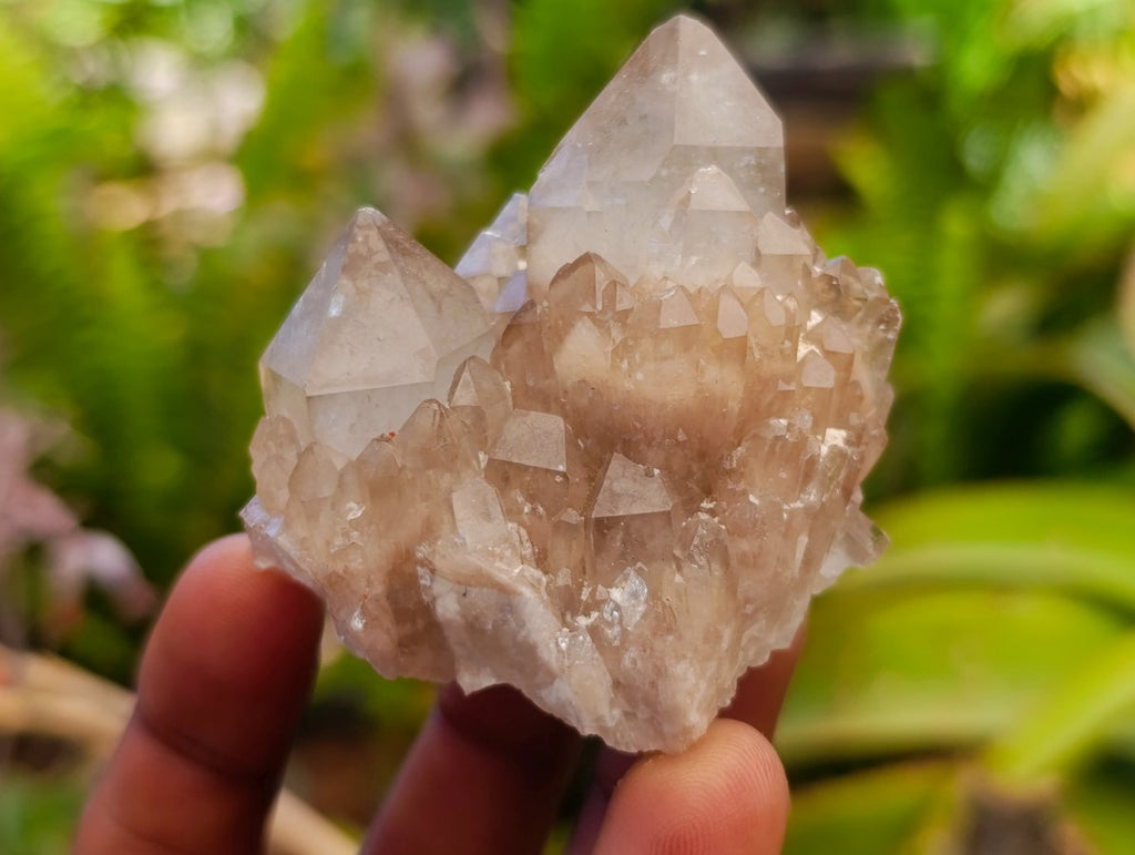 Natural Cascading White Phantom Smokey Luena Quartz Clusters x 6 From Luena, Congo