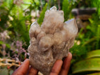 Natural Cascading White Phantom Smokey Luena Quartz Clusters x 6 From Luena, Congo