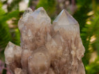 Natural Cascading White Phantom Smokey Luena Quartz Clusters x 6 From Luena, Congo