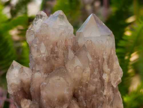 Natural Cascading White Phantom Smokey Luena Quartz Clusters x 6 From Luena, Congo