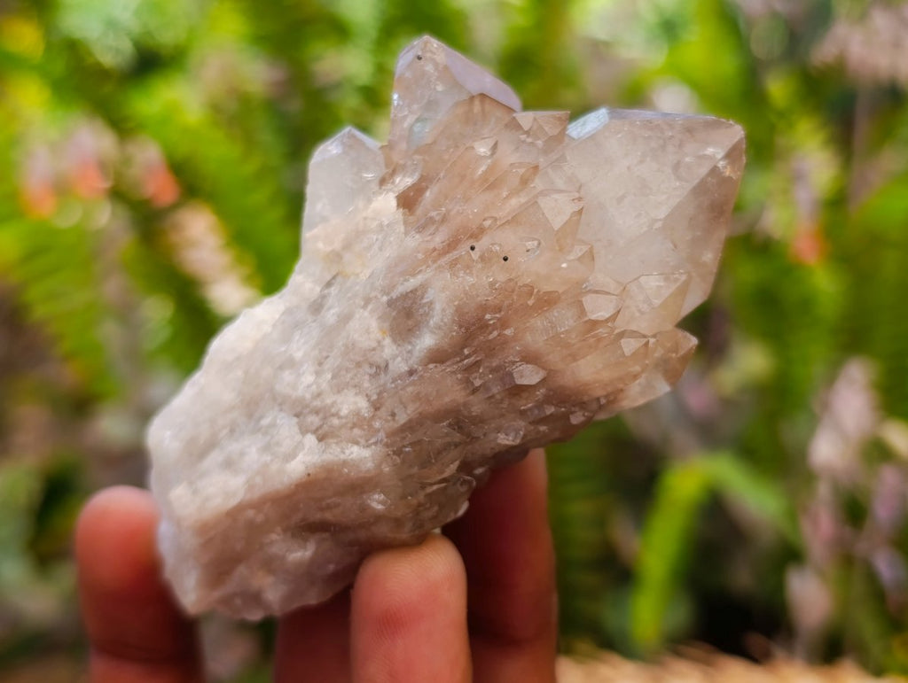 Natural Cascading White Phantom Smokey Luena Quartz Clusters x 6 From Luena, Congo