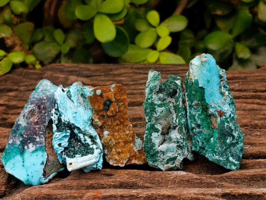 Natural Rare Drusy Coated Chrysocolla Specimens with Malachite x 35 From Lupoto Mine, Congo