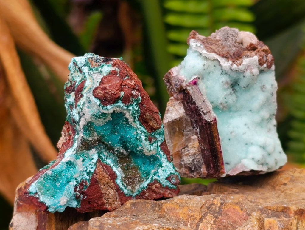Natural Rare Drusy Coated Chrysocolla Specimens with Malachite x 35 From Lupoto Mine, Congo