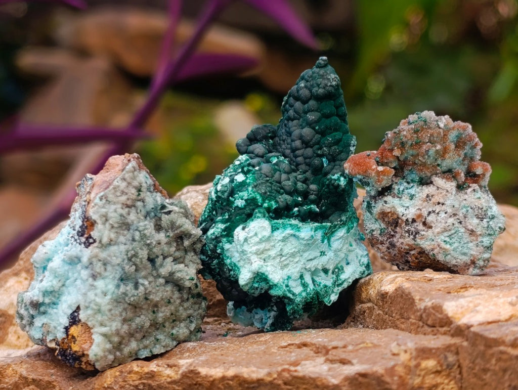 Natural Rare Drusy Coated Chrysocolla Specimens with Malachite x 35 From Lupoto Mine, Congo
