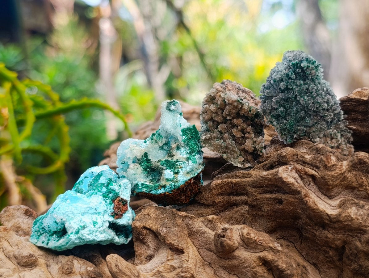 Natural Rare Drusy Coated Chrysocolla Specimens with Malachite x 35 From Lupoto Mine, Congo