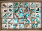 Natural Rare Drusy Coated Chrysocolla Specimens with Malachite x 35 From Lupoto Mine, Congo