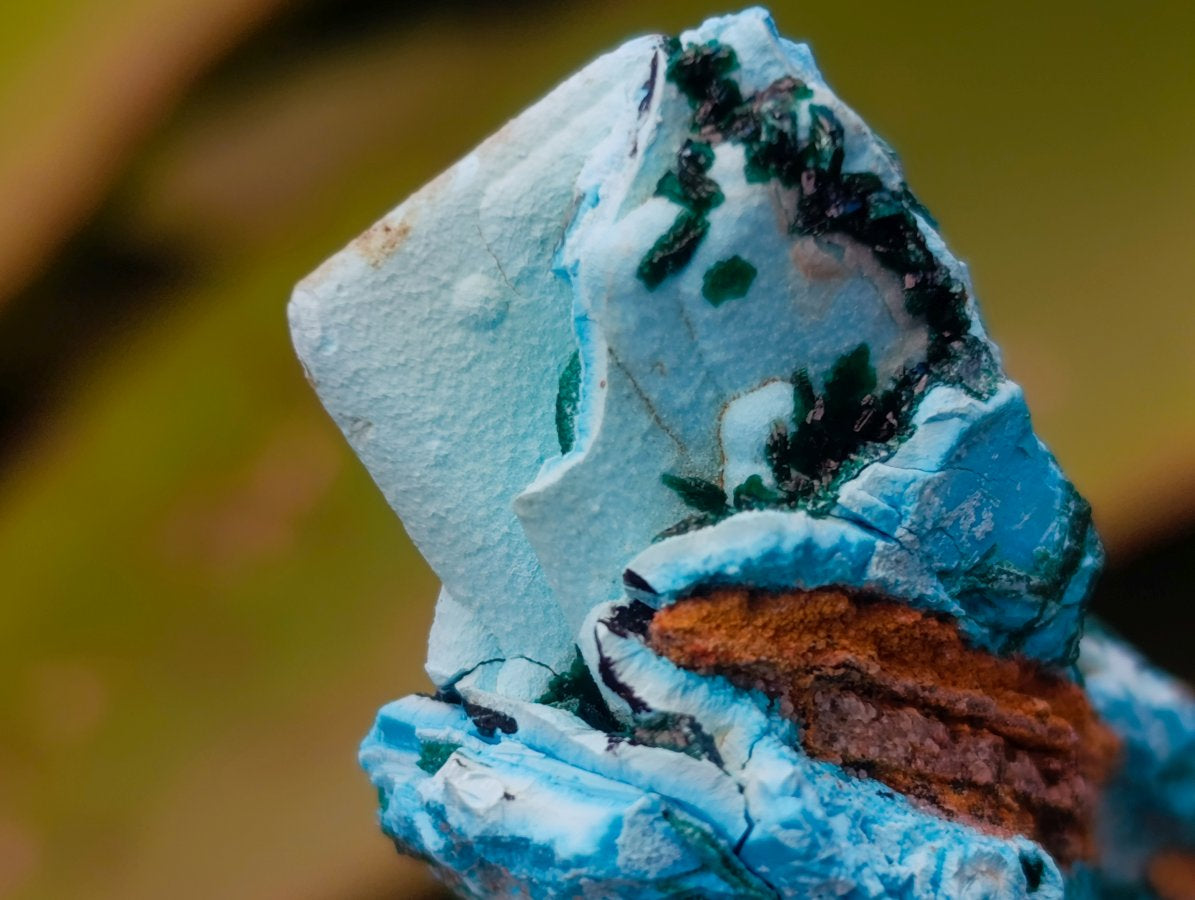 Natural Rare Drusy Coated Chrysocolla Specimens with Malachite x 35 From Lupoto Mine, Congo