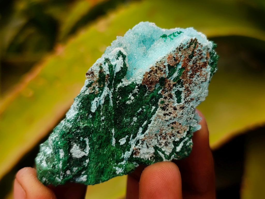 Natural Rare Drusy Coated Chrysocolla Specimens with Malachite x 35 From Lupoto Mine, Congo