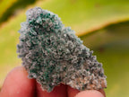 Natural Rare Drusy Coated Chrysocolla Specimens with Malachite x 35 From Lupoto Mine, Congo