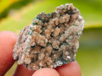 Natural Rare Drusy Coated Chrysocolla Specimens with Malachite x 35 From Lupoto Mine, Congo