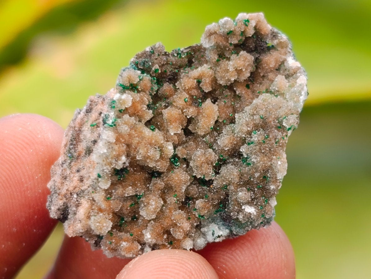 Natural Rare Drusy Coated Chrysocolla Specimens with Malachite x 35 From Lupoto Mine, Congo
