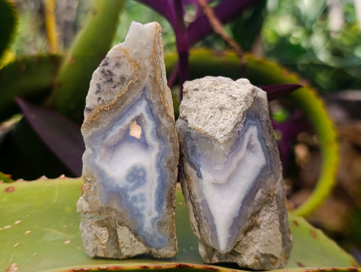 Polished One Side Blue Lace Agate Geodes x 12 From Nsanje, Malawi