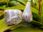 Polished One Side Blue Lace Agate Geodes x 12 From Nsanje, Malawi