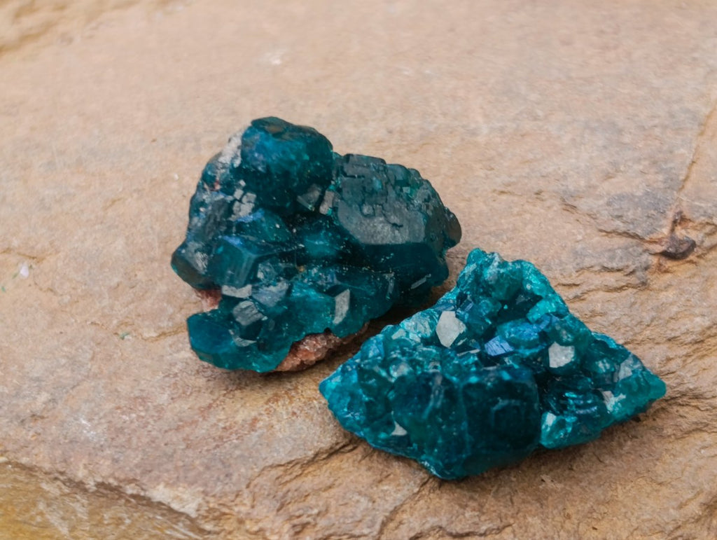 Natural Mini Dioptase Specimens on Dolomite Matrix x 72 From Tantara Mine, Congo